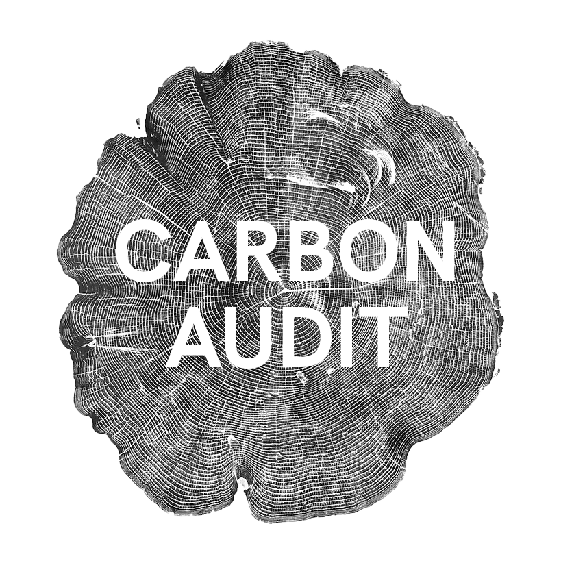 Carbon Audit