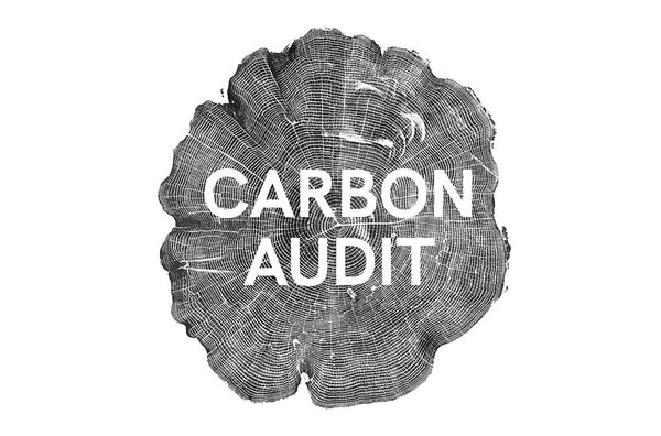 Carbon Audit