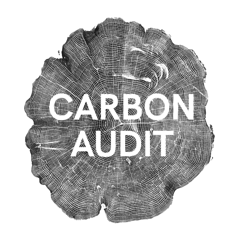 Carbon Audit